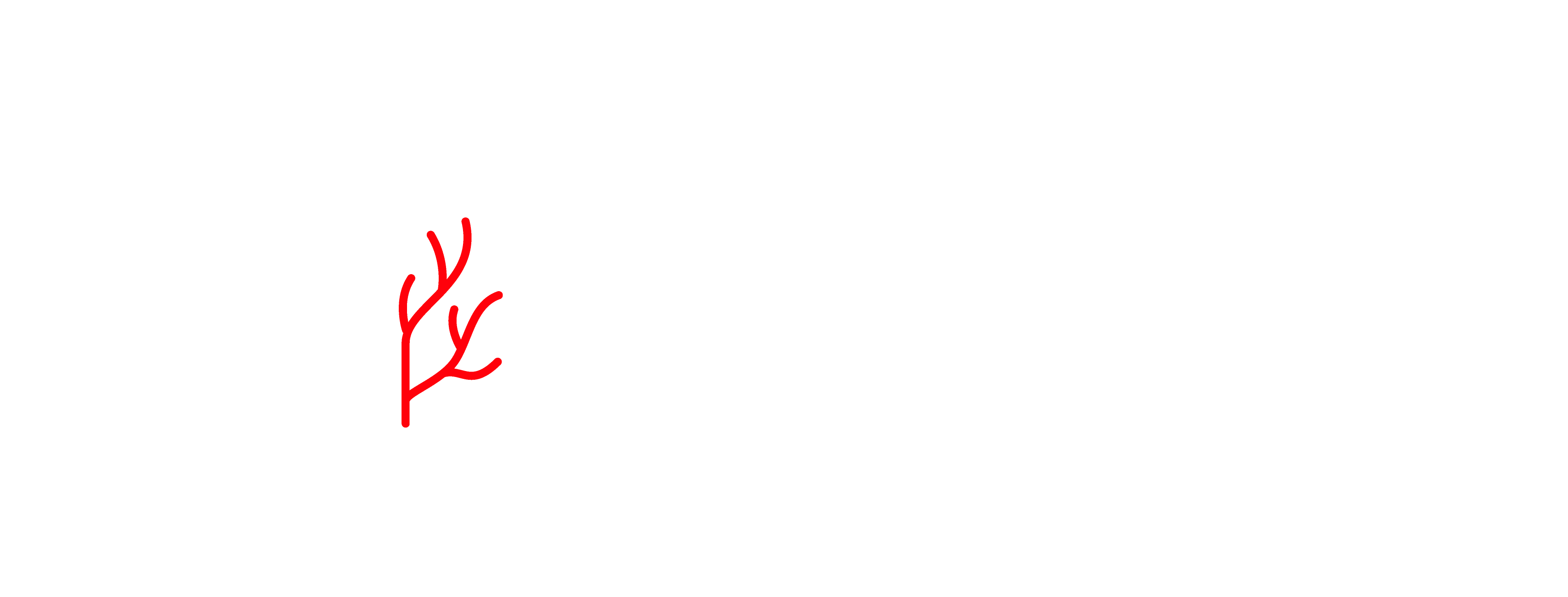 Centre Vasculaire Mouscron